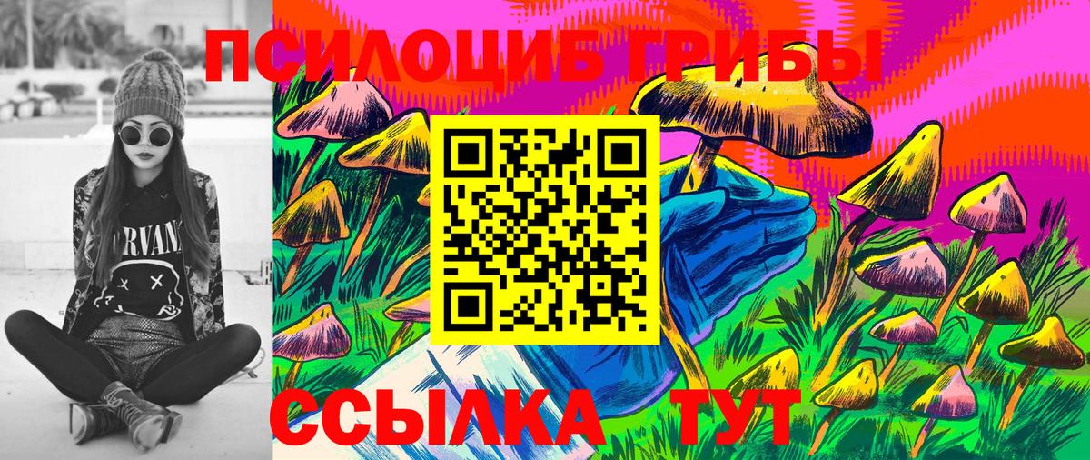 Псилоцибиновые грибы GOLDEN TEACHER Мариинск